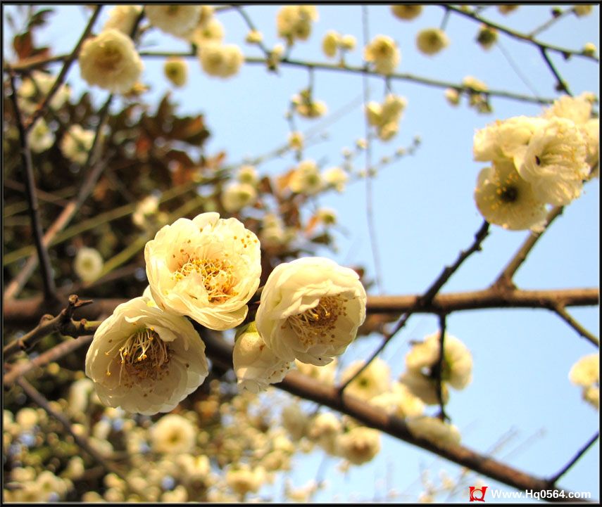 ��ɫ����13.jpg