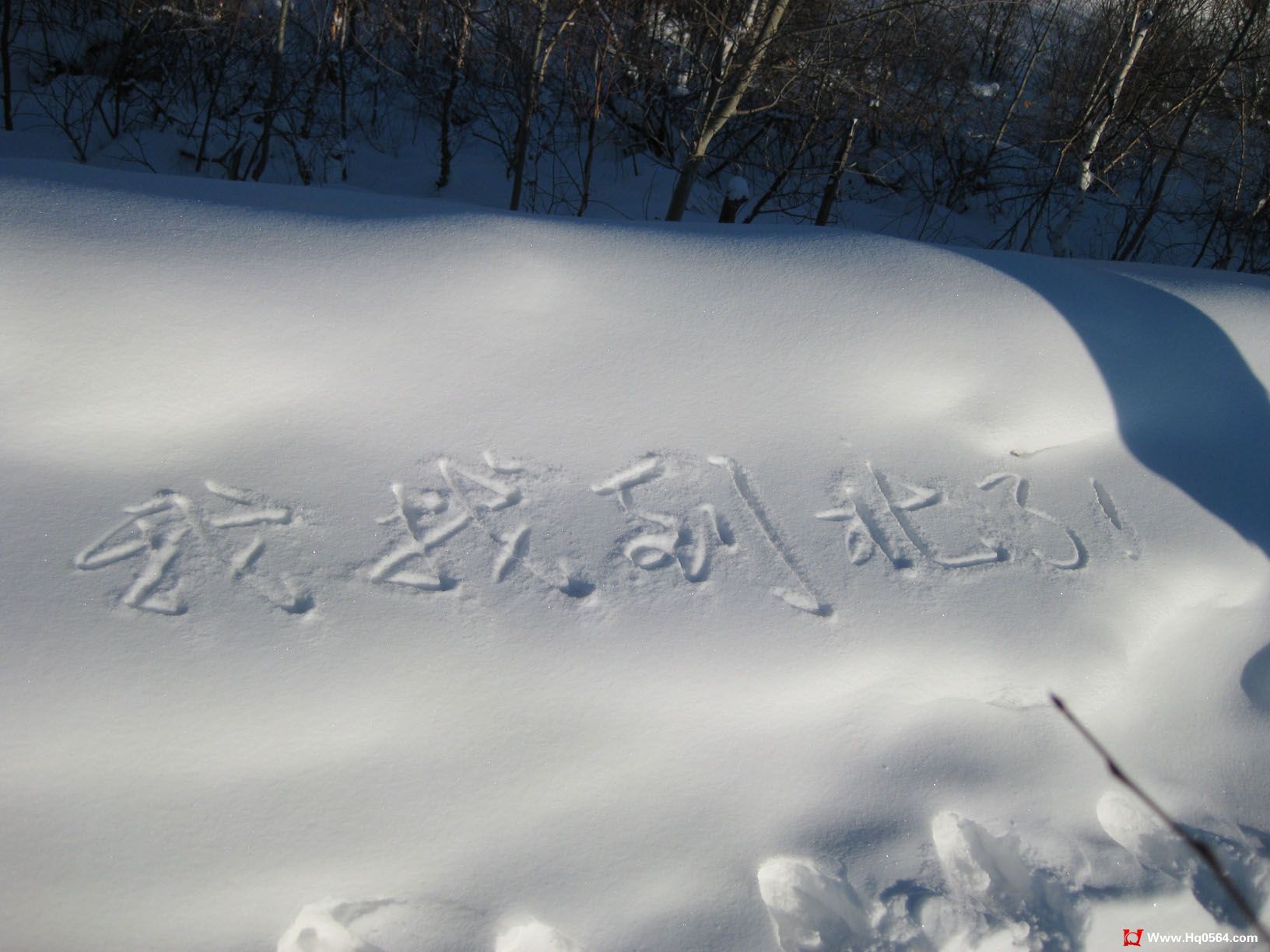 �ҵ�����