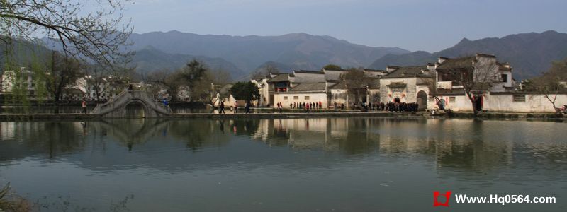 IMG_2306.jpg