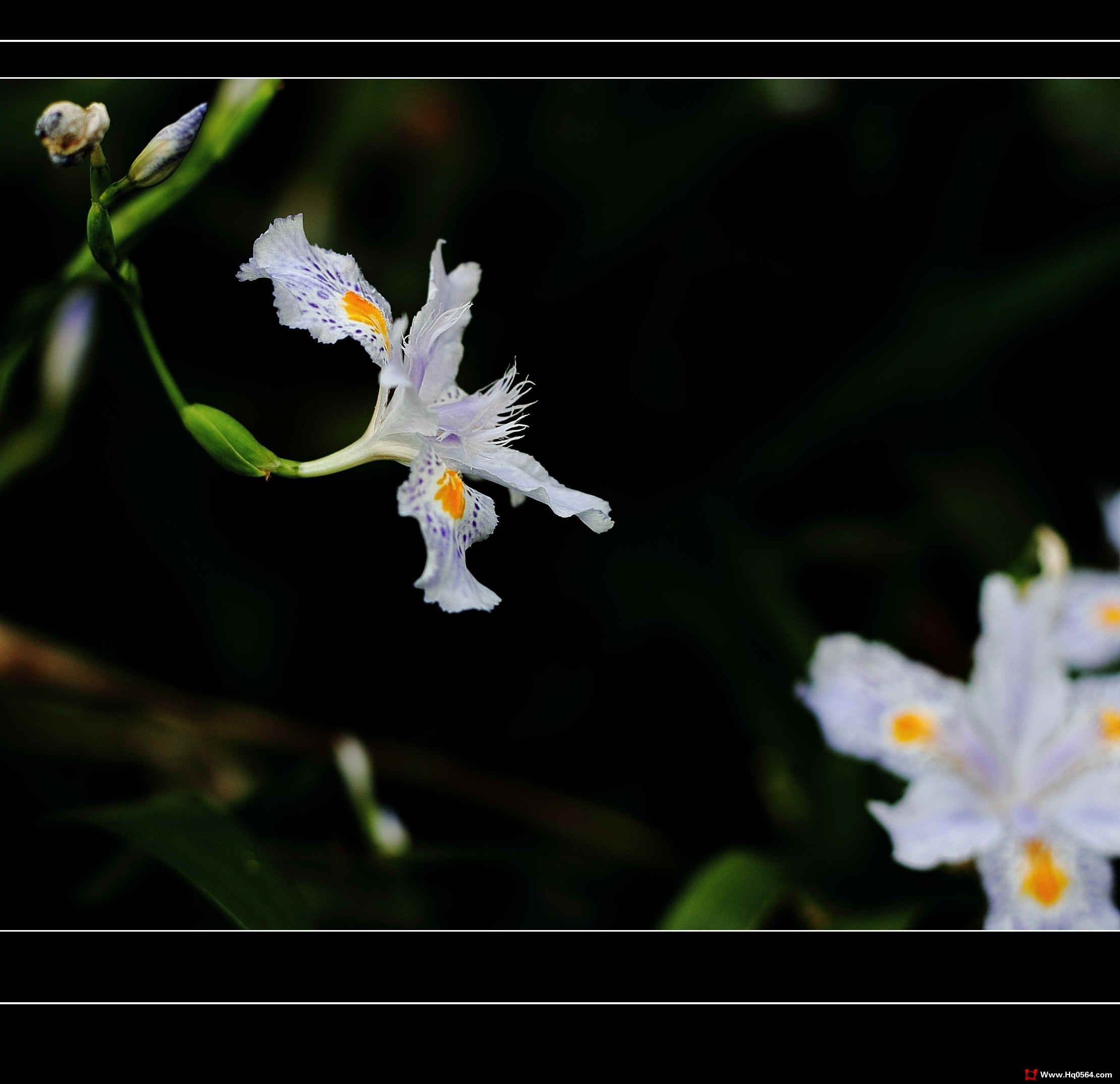 IMG_8197.jpg