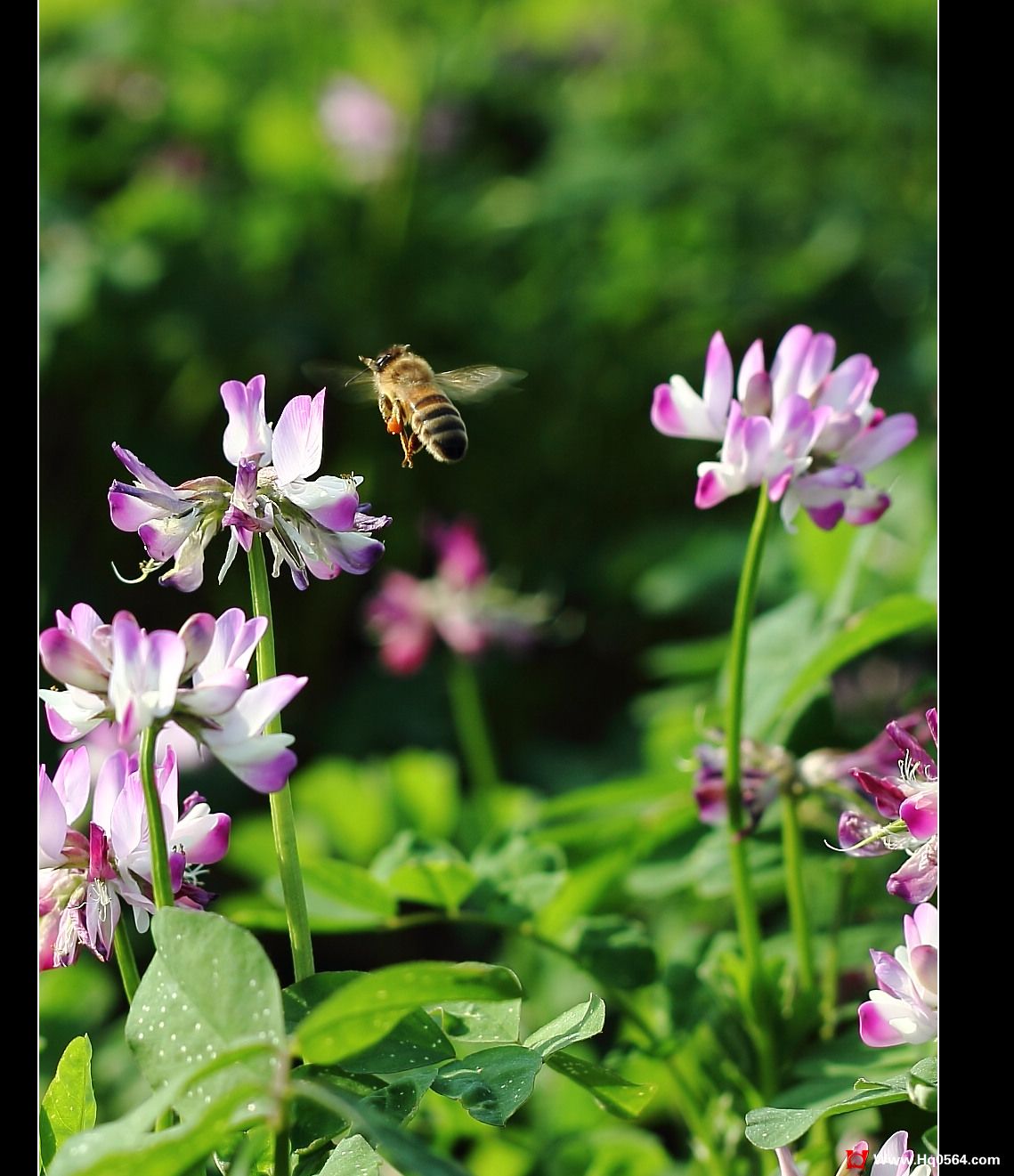 IMG_7563a.jpg