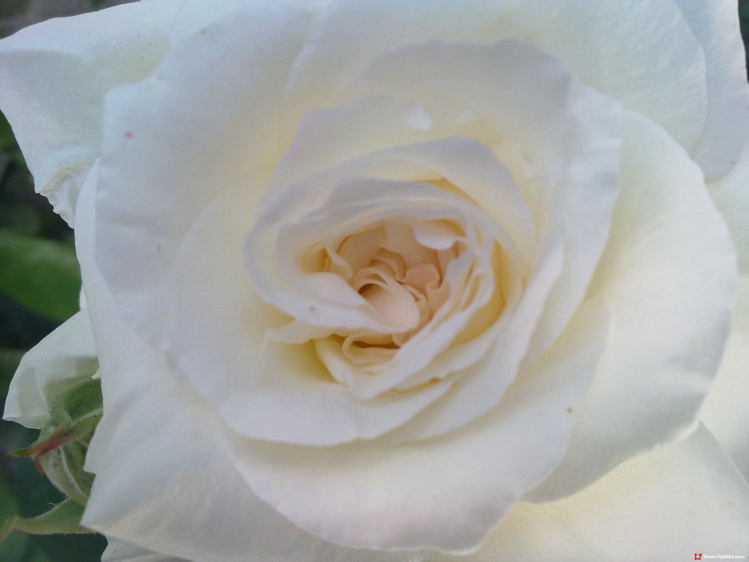 20110505052.jpg