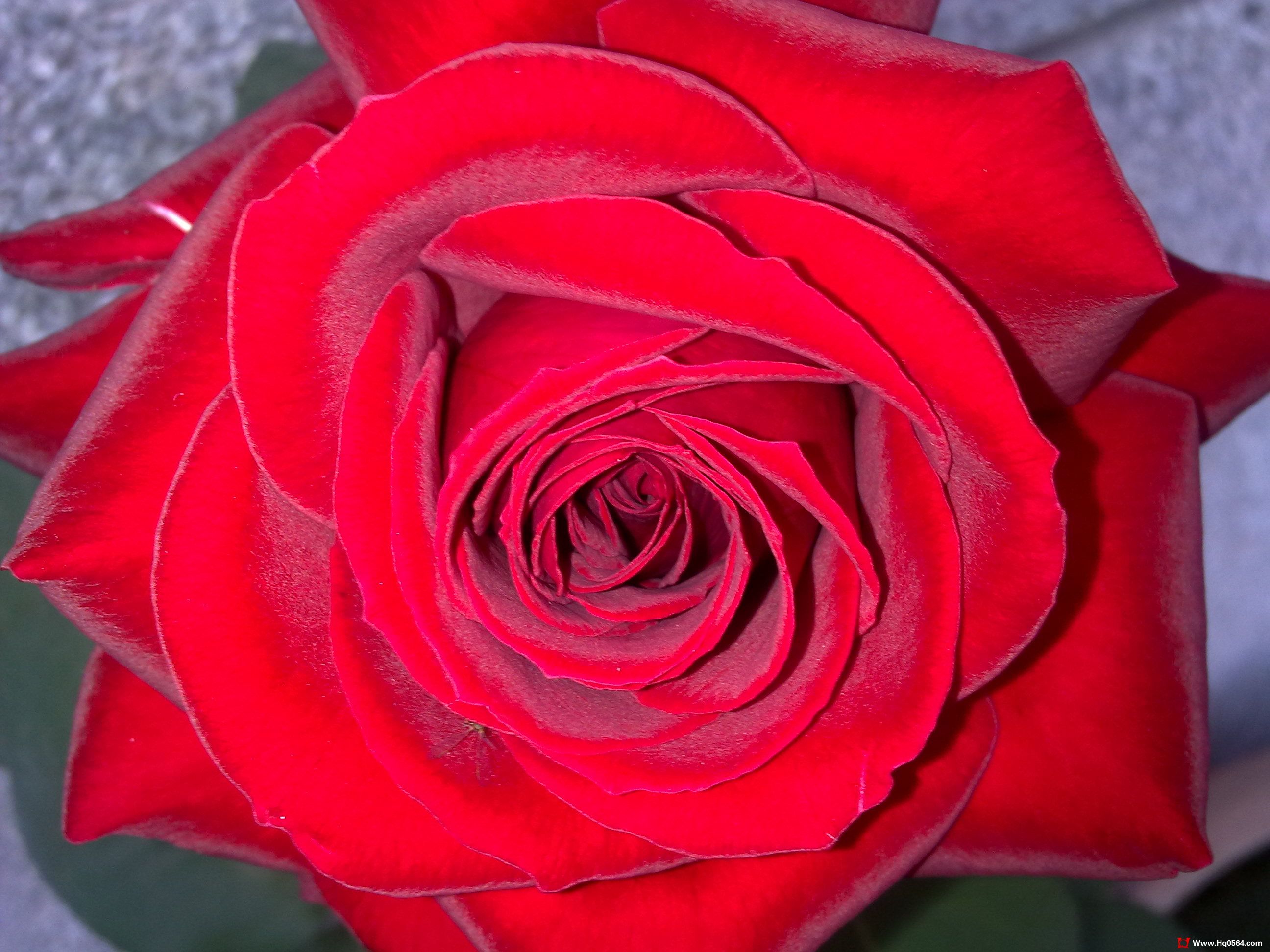 20110506068.jpg