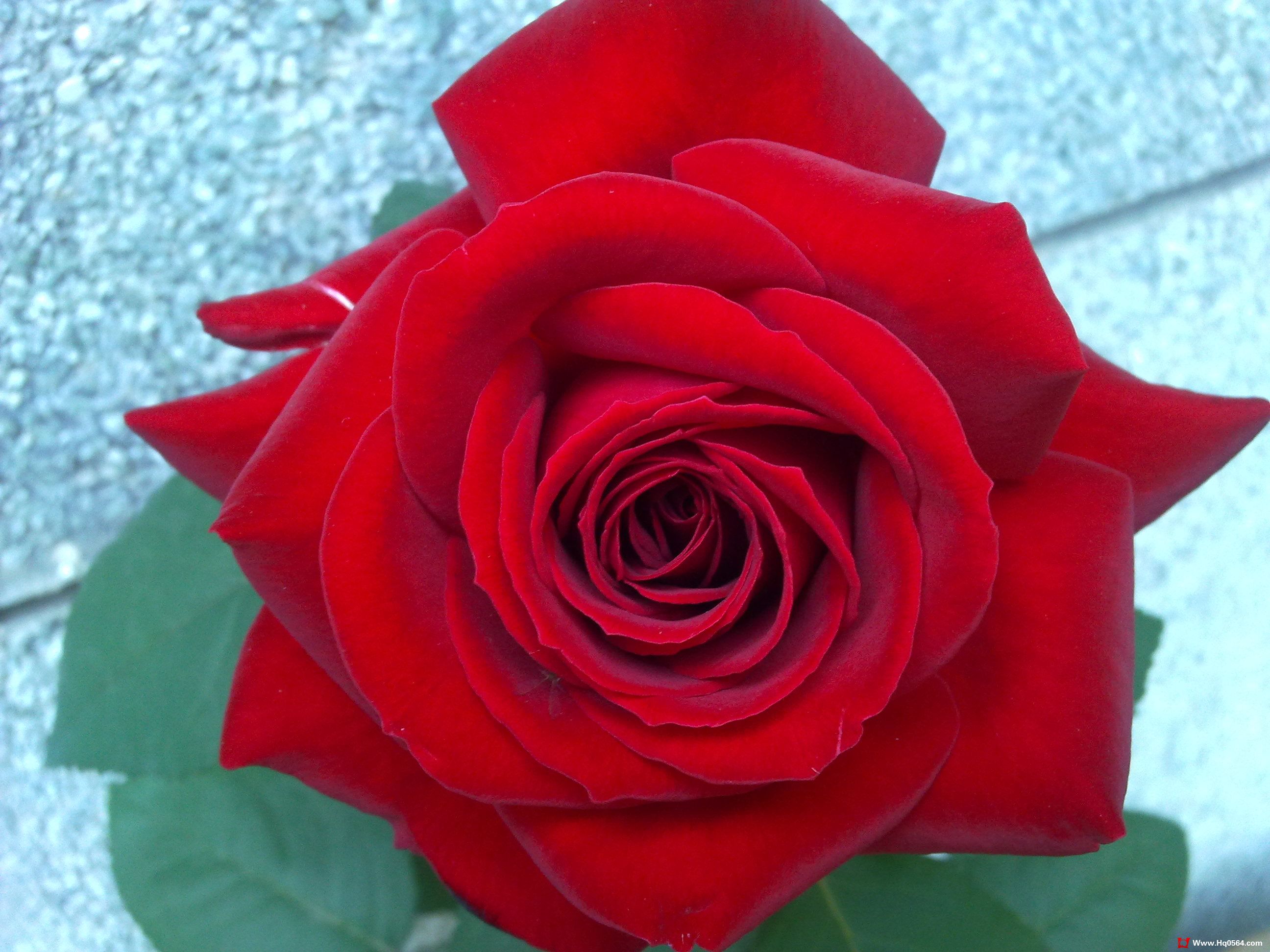 20110506069.jpg