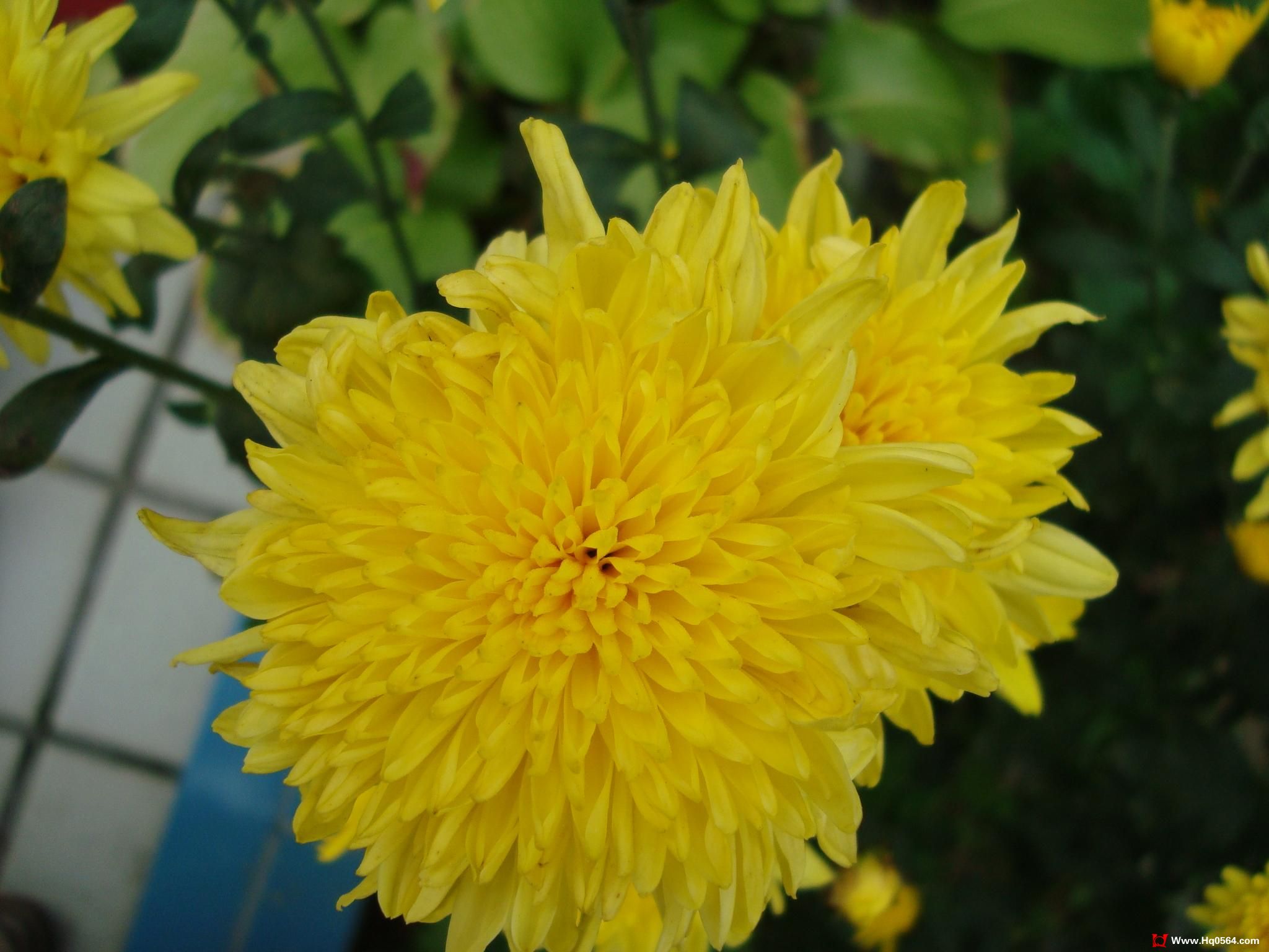 DSC00411.JPG