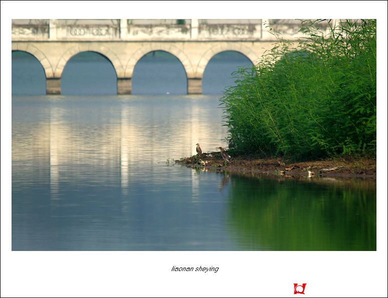 IMGP4947-2.jpg