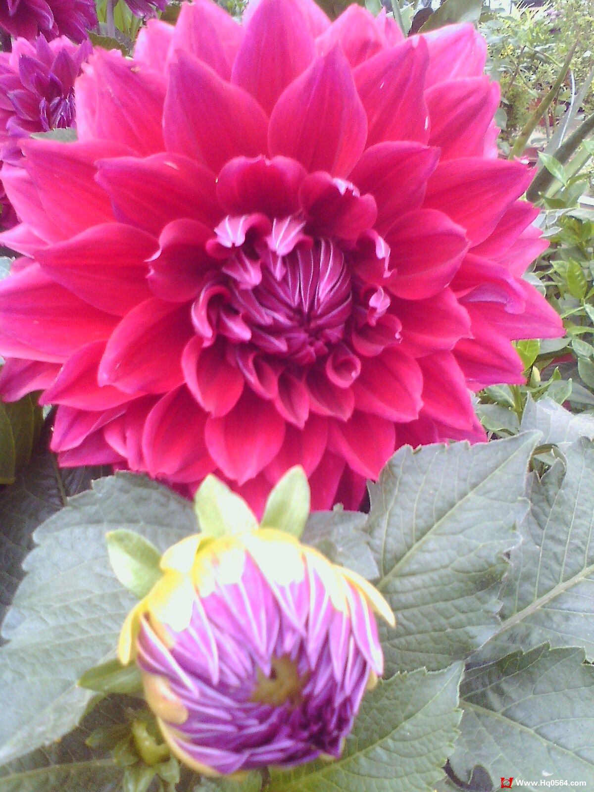 IMG0522125800.jpg