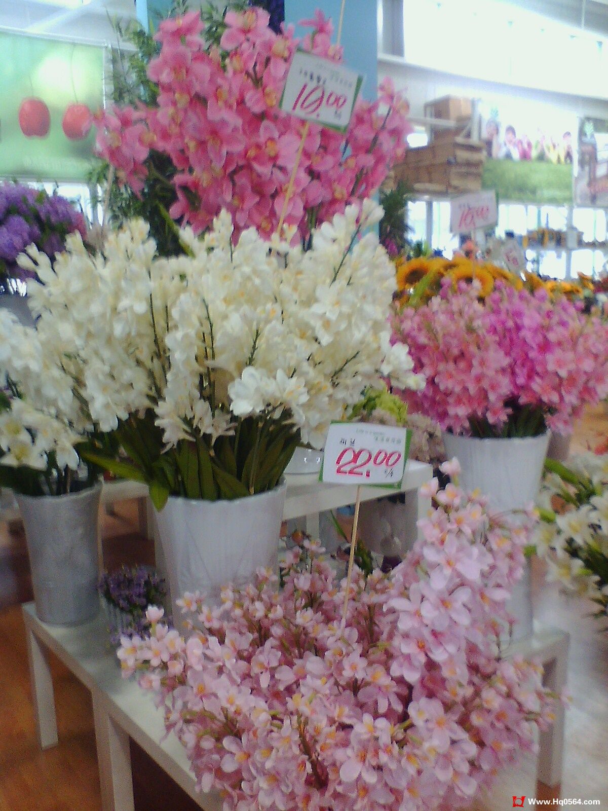 IMG0522132800.jpg