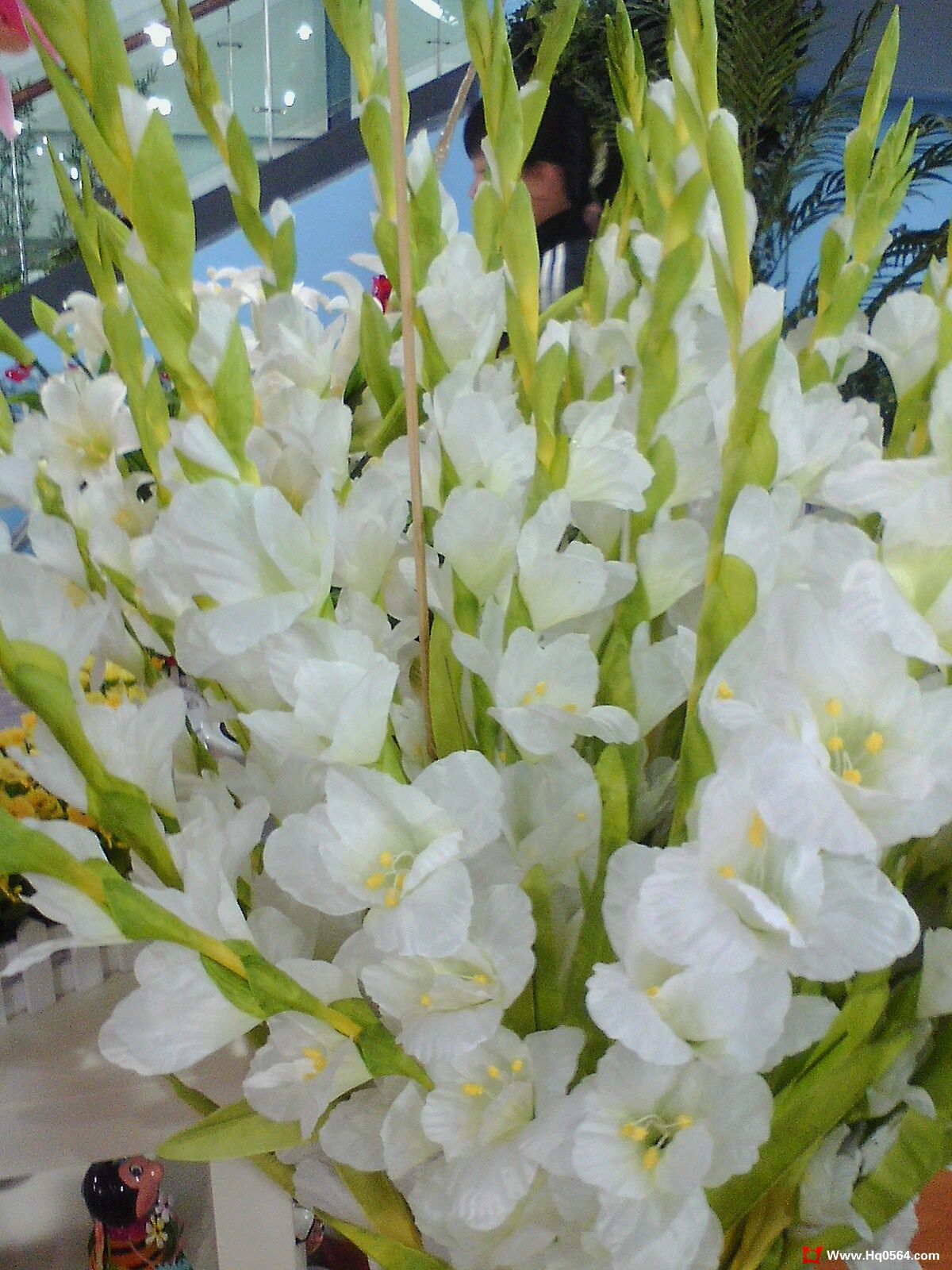 IMG0522133101.jpg