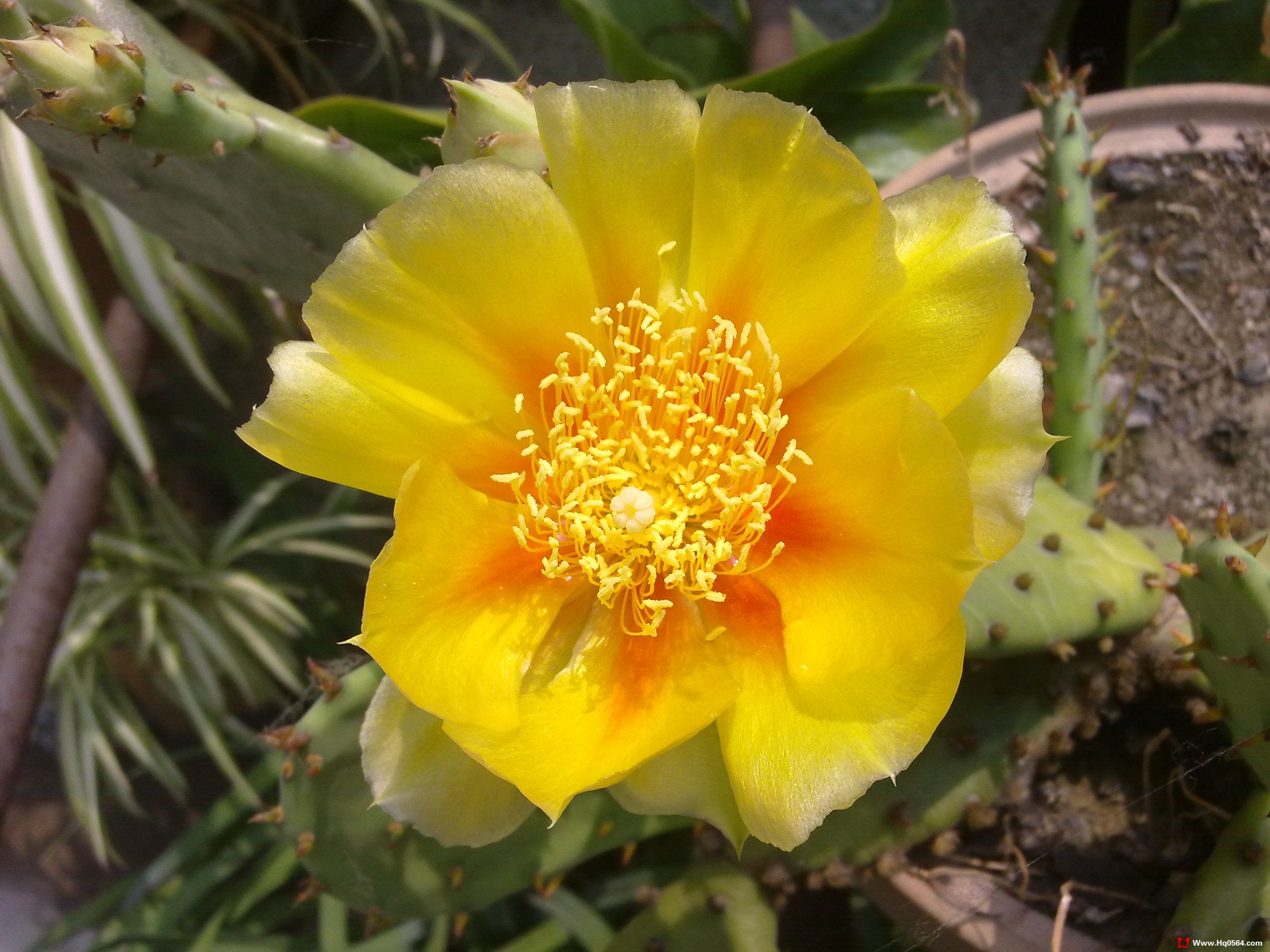 20110520088.jpg