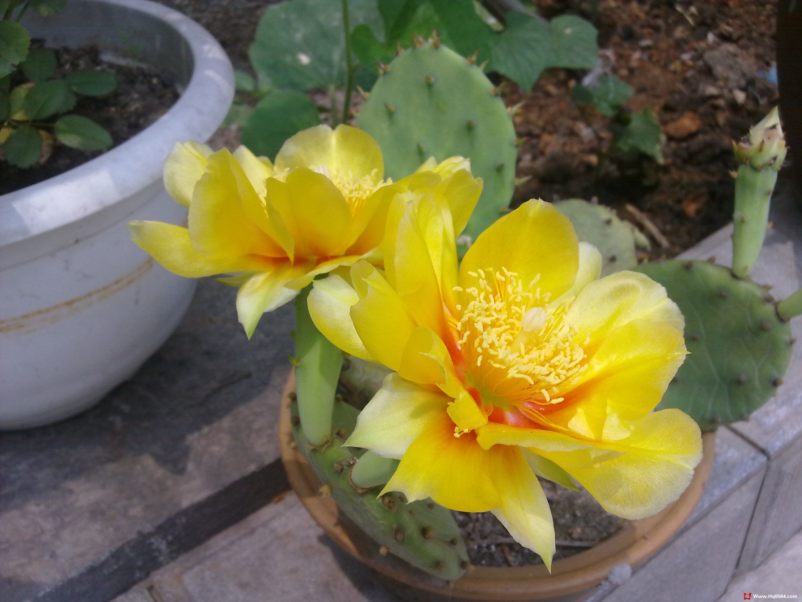 20110520093.jpg