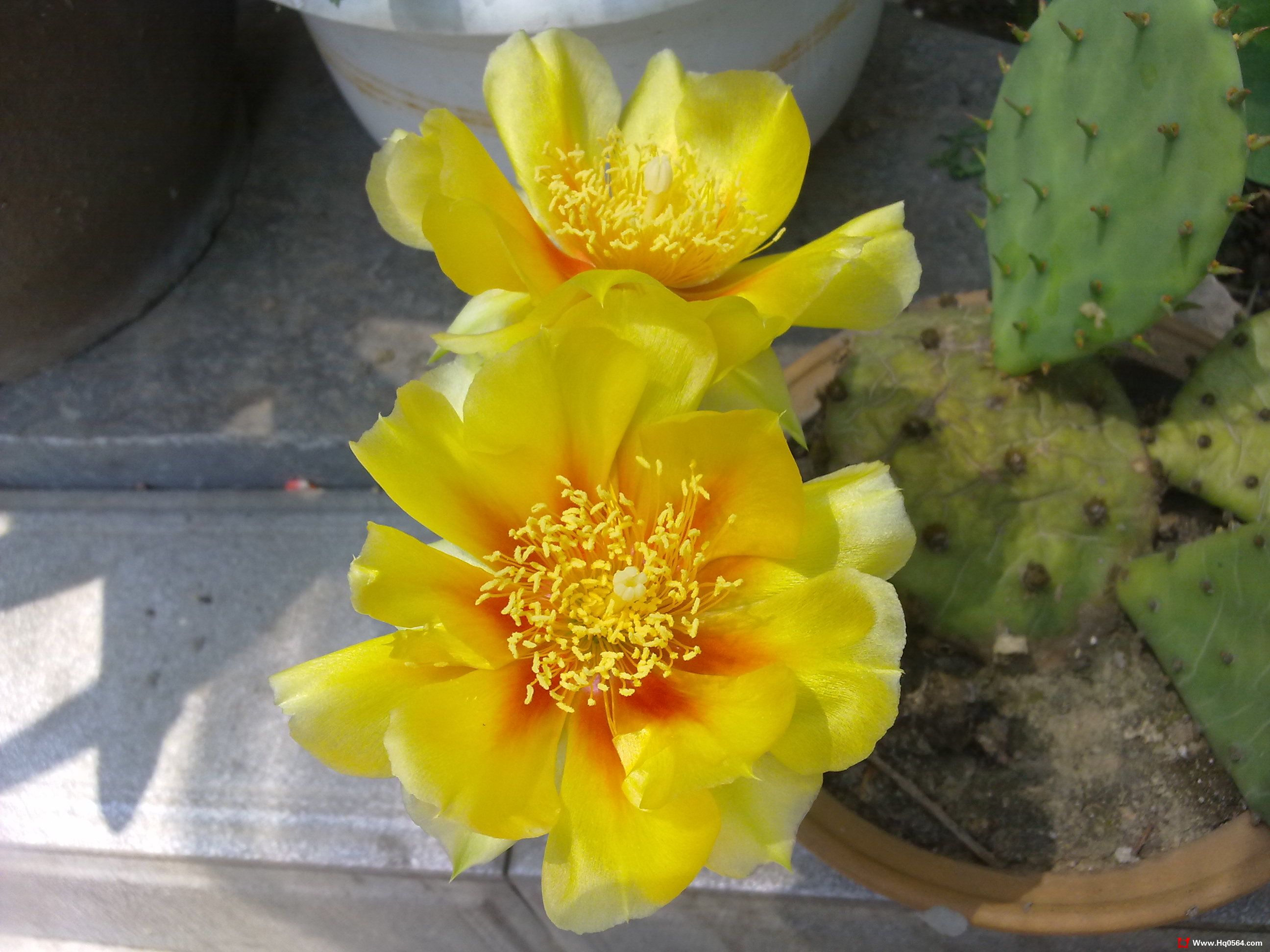 20110520094.jpg