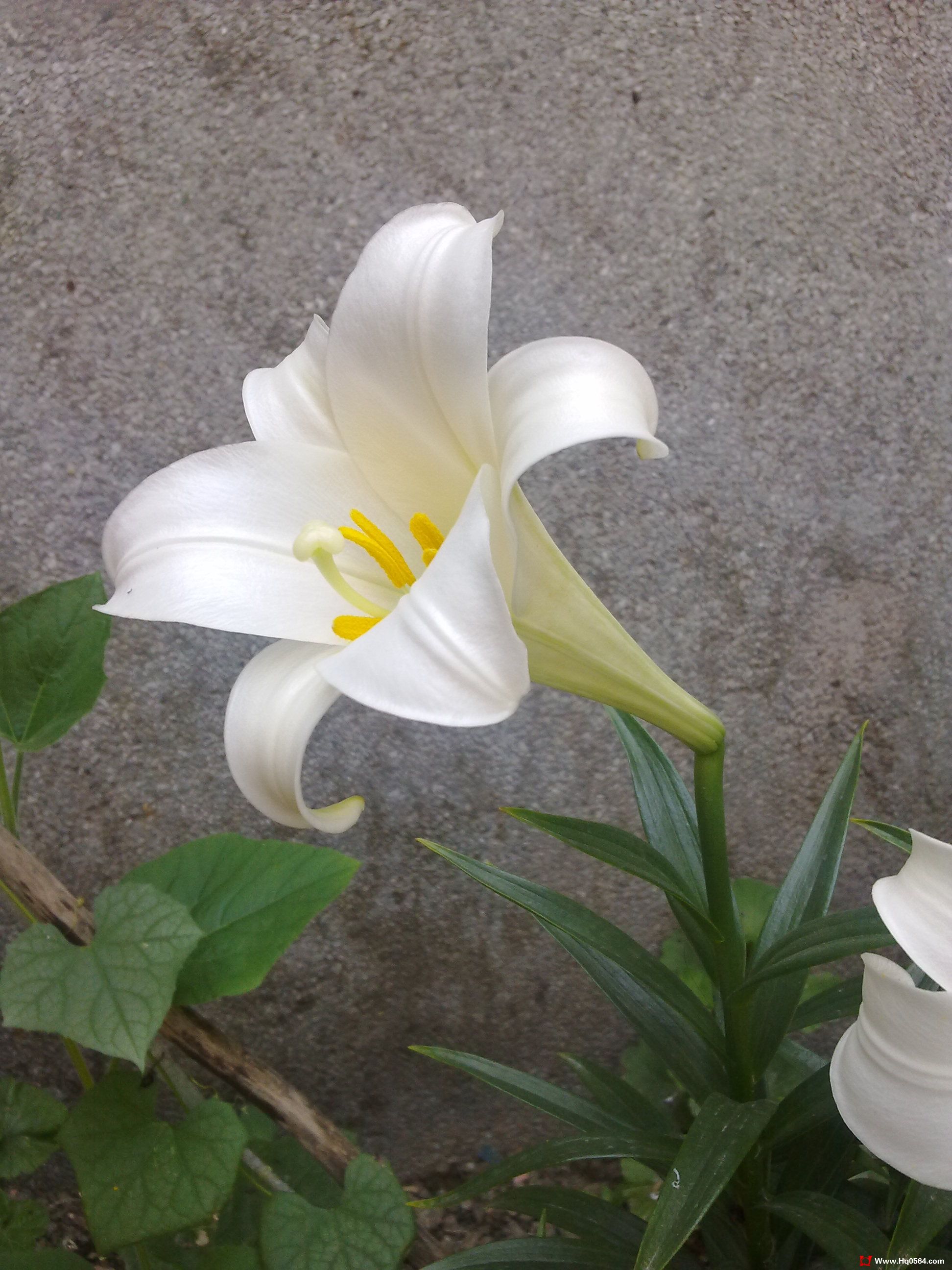 20110527098.jpg
