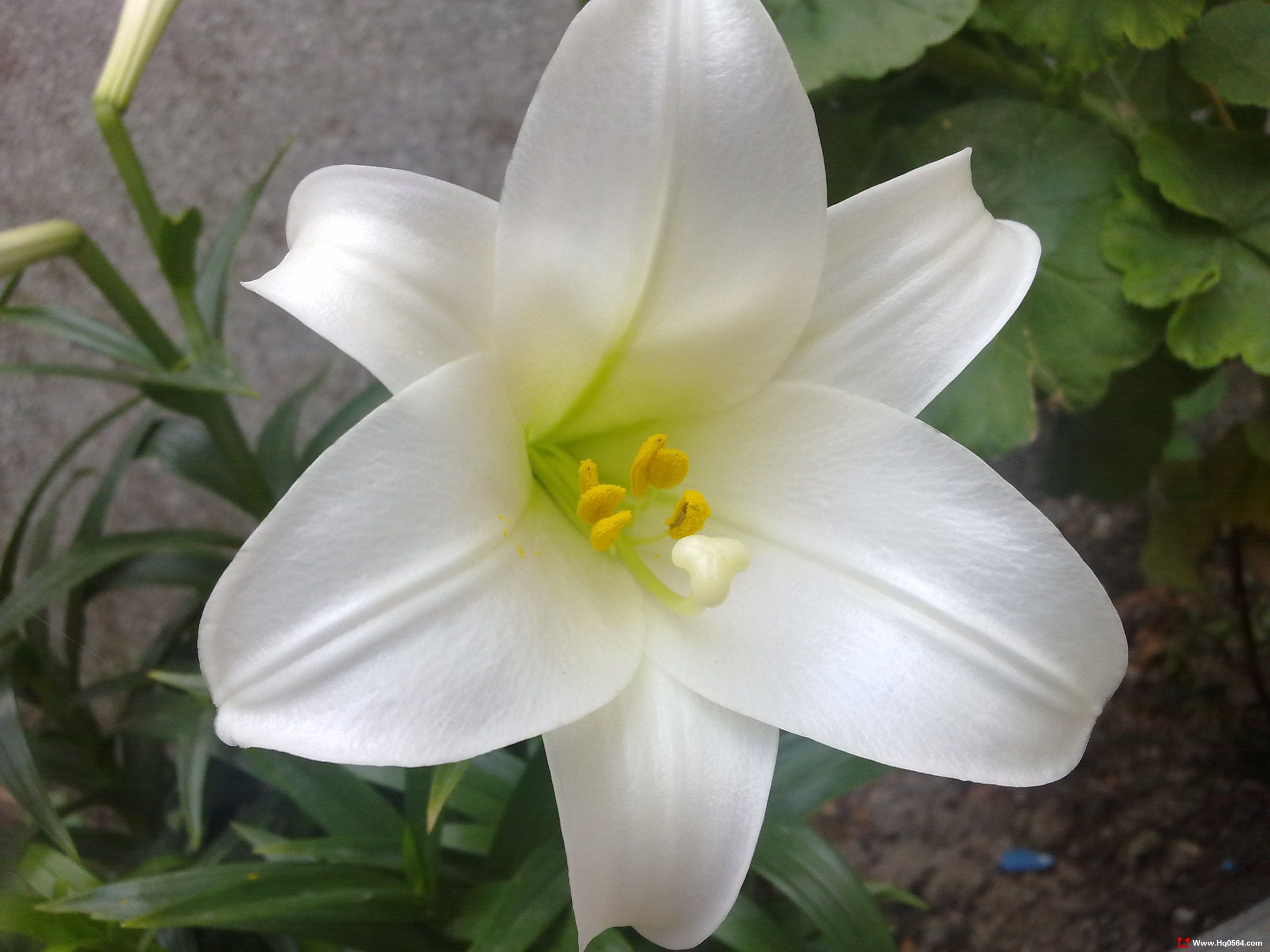 20110527099.jpg