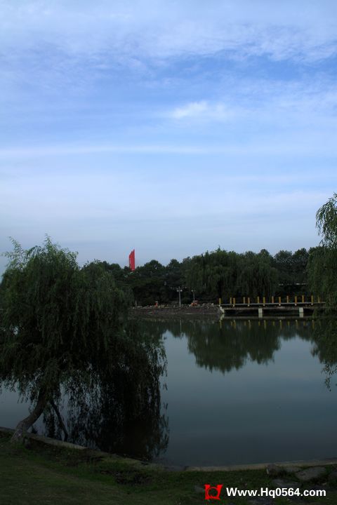 IMG_8854.JPG