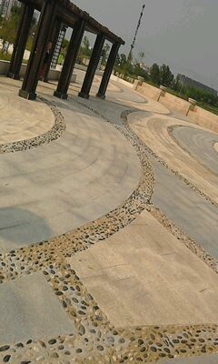 IMG0239A.jpg