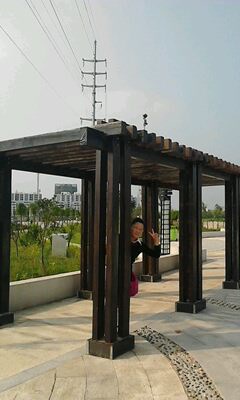 IMG0240A.jpg