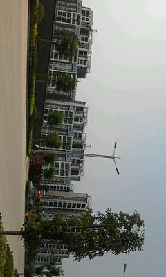 IMG0246A.jpg