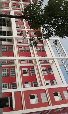 IMG0247A.jpg
