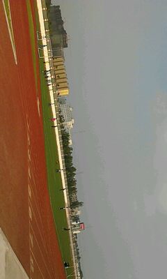 IMG0250A.jpg