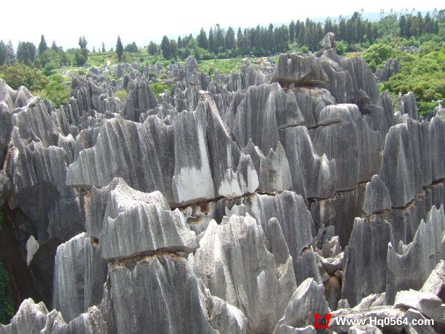 DSCF0961.JPG