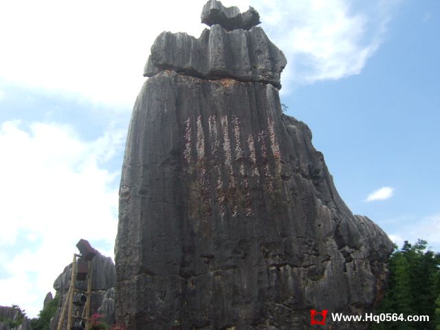 DSCF1032.JPG