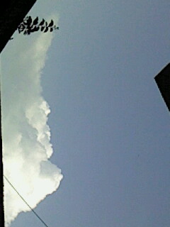 IMG0173A.jpg