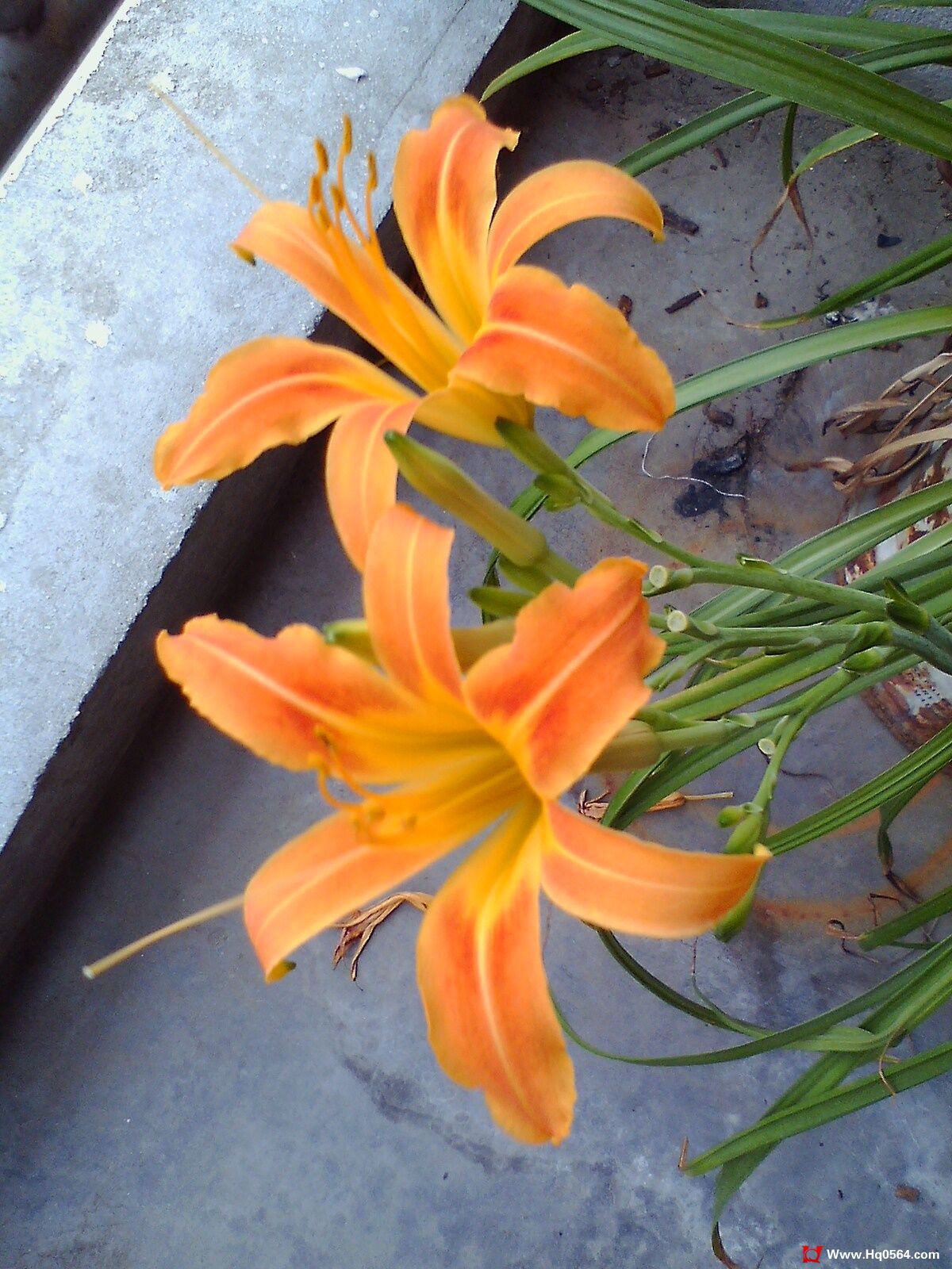 IMG0712084700.jpg