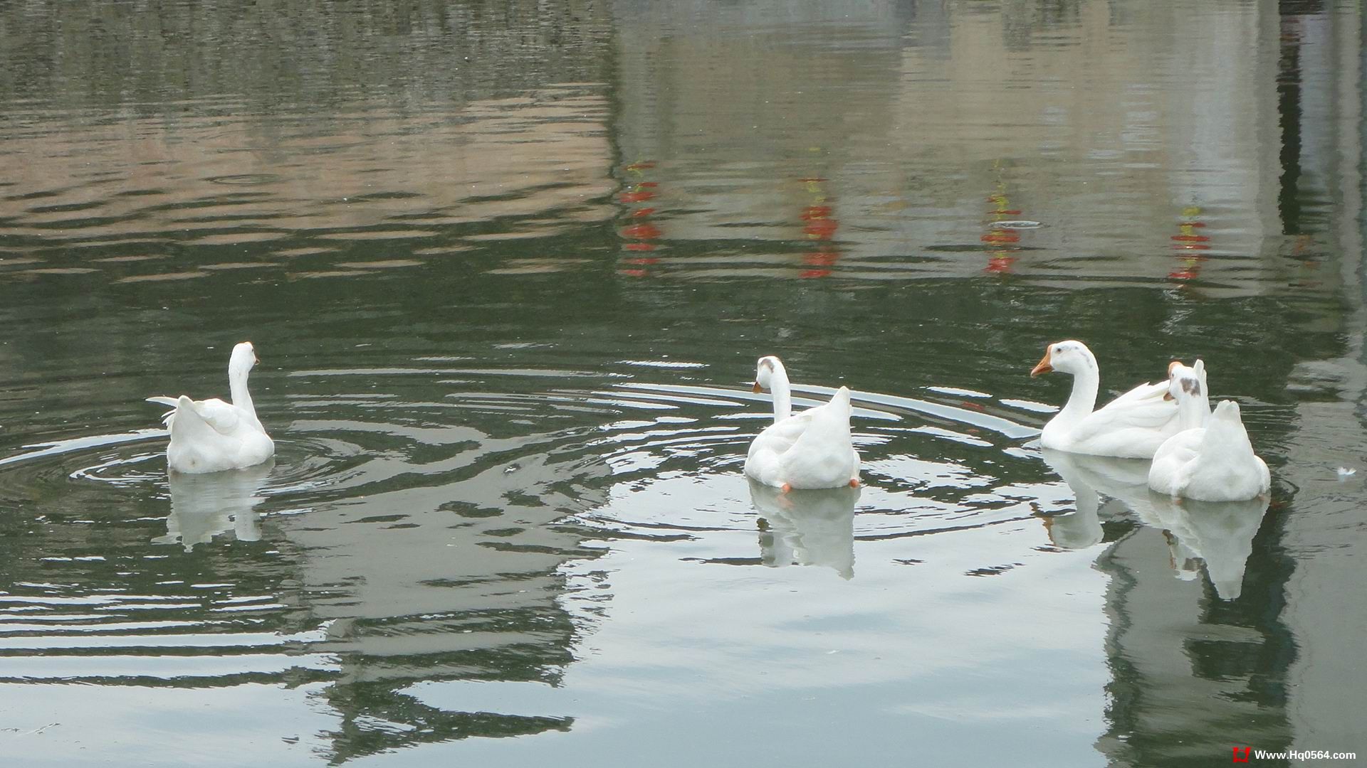 DSC03183.jpg