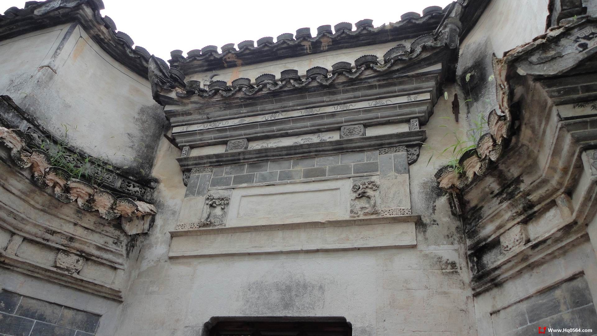 DSC03226.jpg