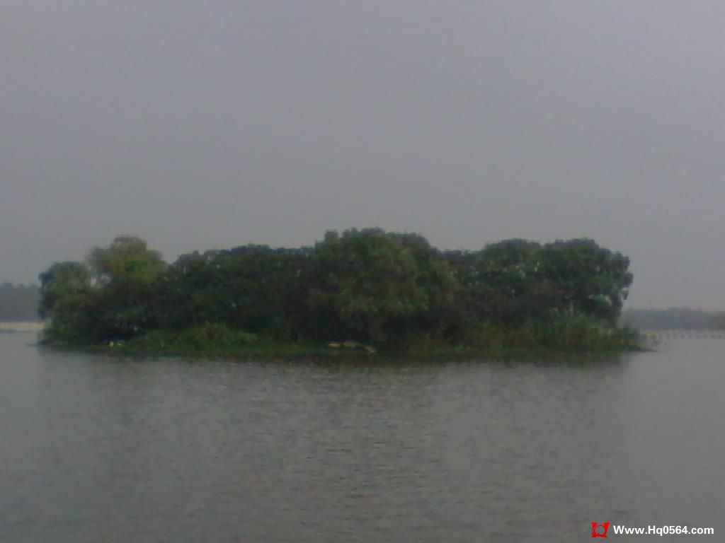 2011-08-07 09.53.51.jpg