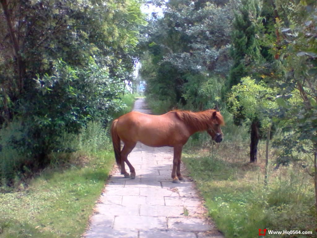 2011-08-07 10.14.16.jpg