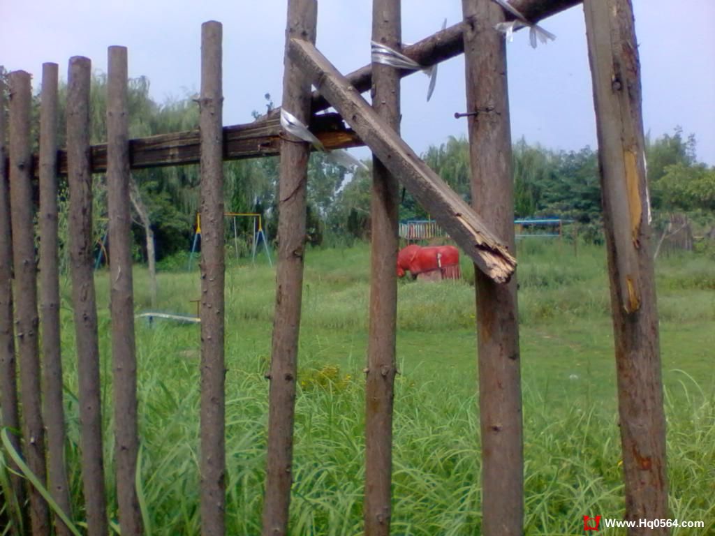2011-08-07 10.17.21.jpg