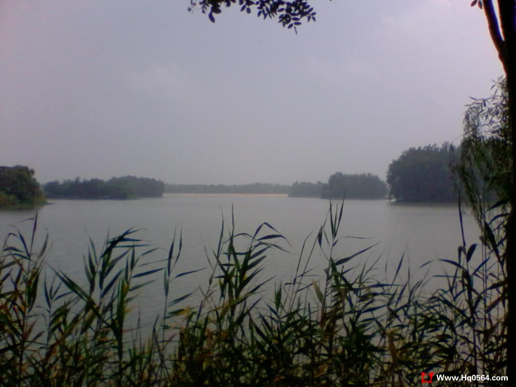 2011-08-07 10.19.18.jpg