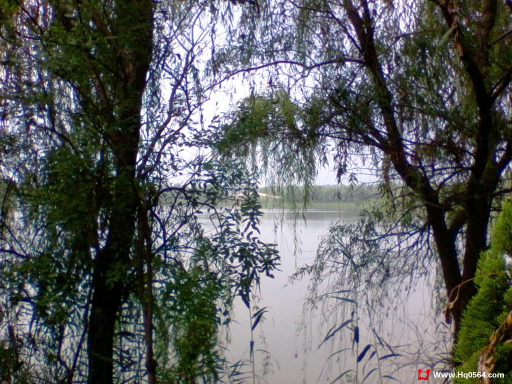 2011-08-07 10.19.51.jpg