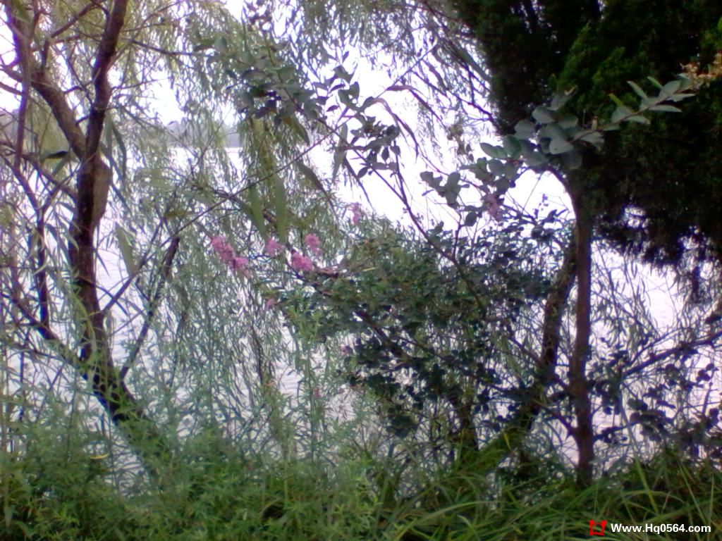 2011-08-07 10.20.09.jpg