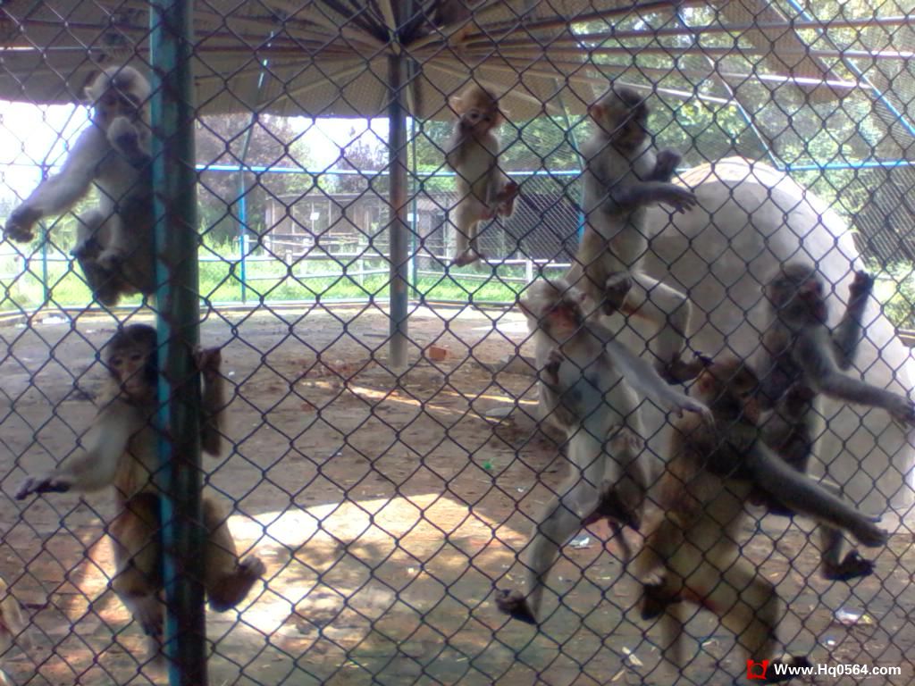 2011-08-07 11.47.22.jpg
