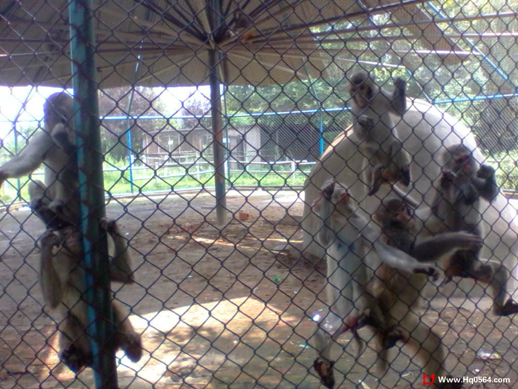 2011-08-07 11.47.32.jpg