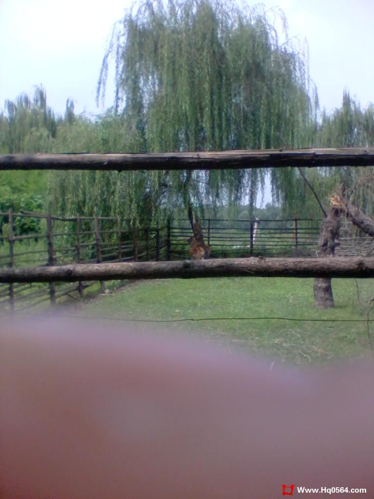 2011-08-07 12.04.21.jpg