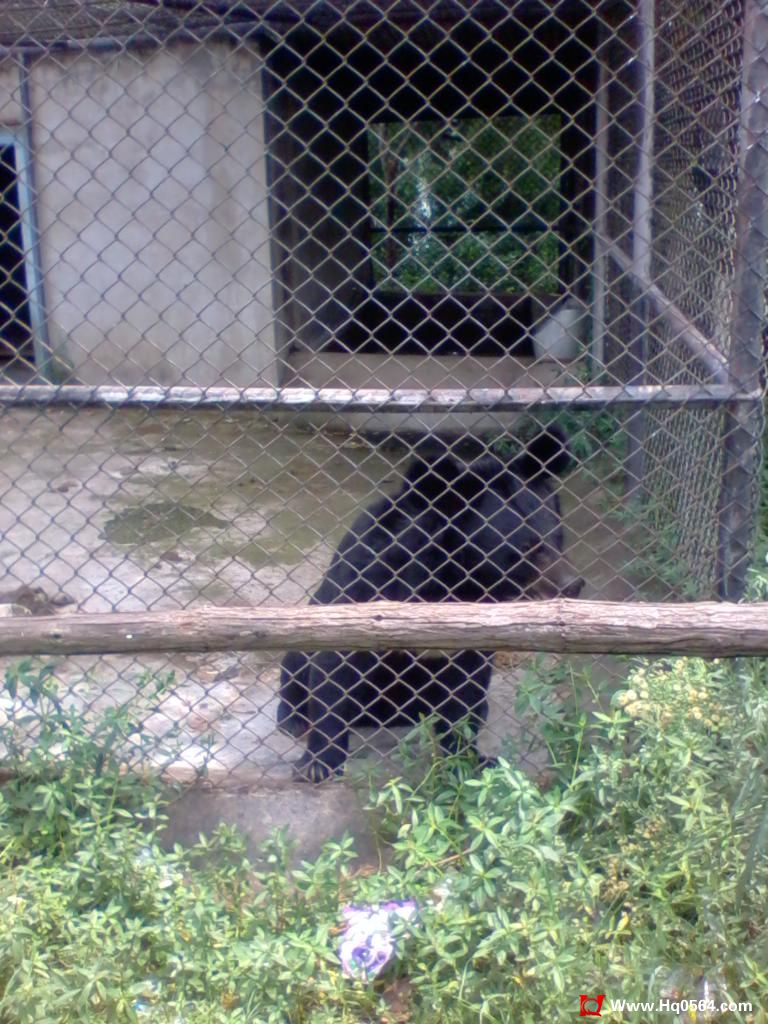 2011-08-07 12.04.44.jpg