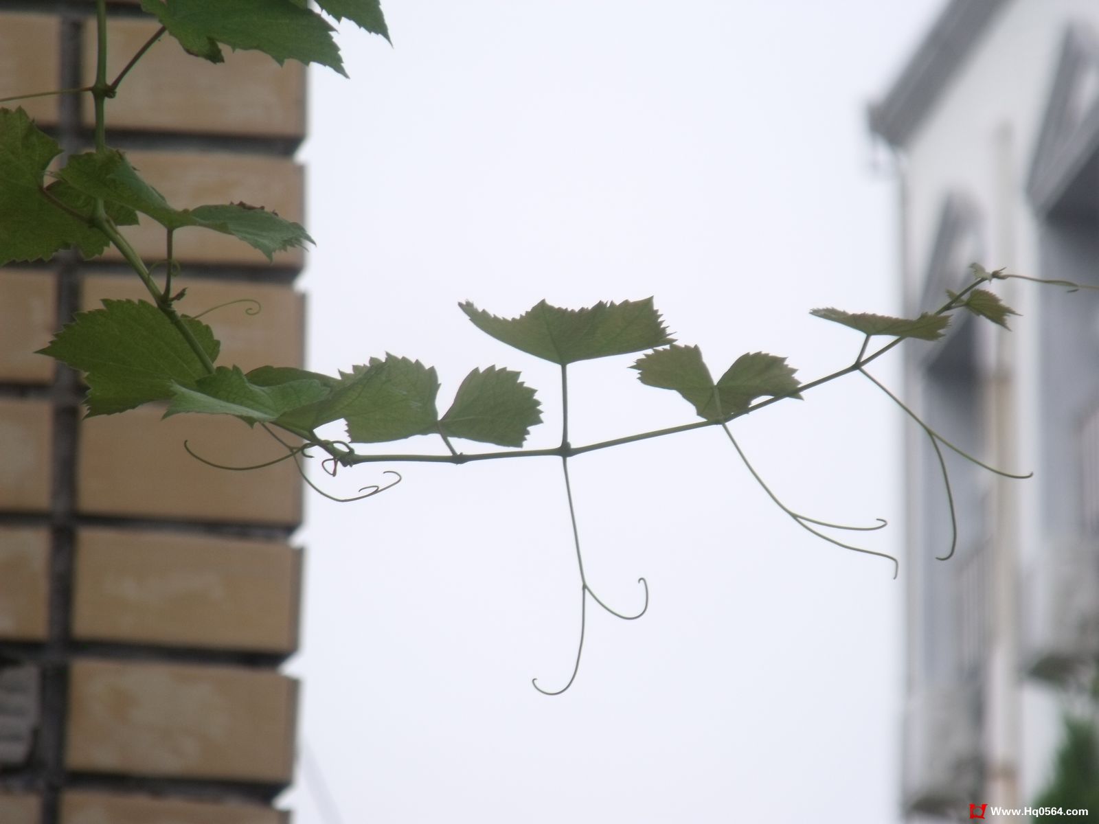 DSCF3825.jpg