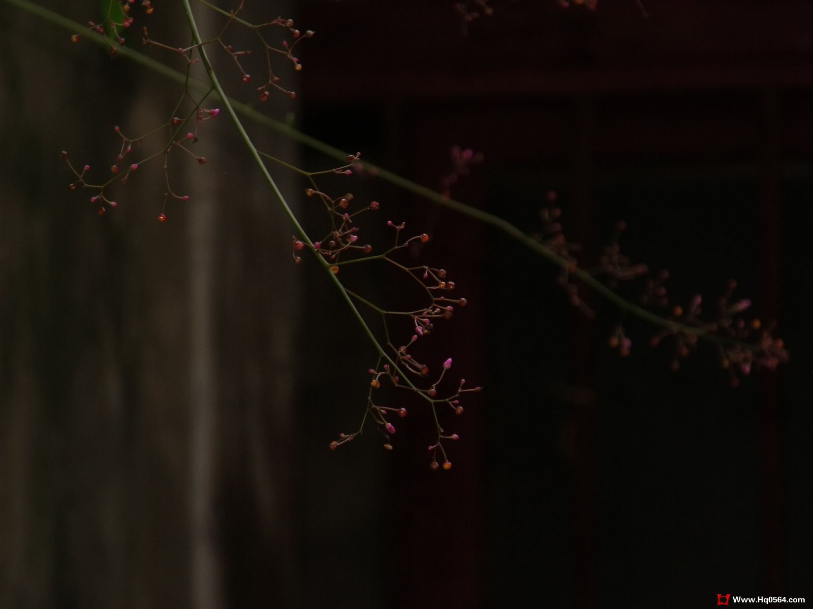 DSCF3869.jpg