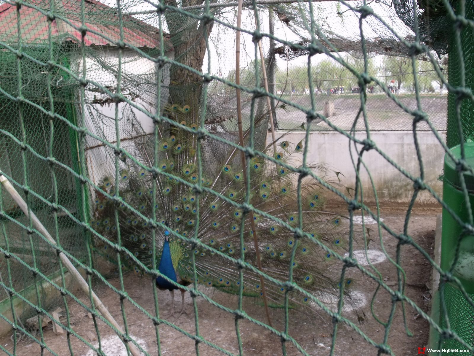 DSCF0368.jpg
