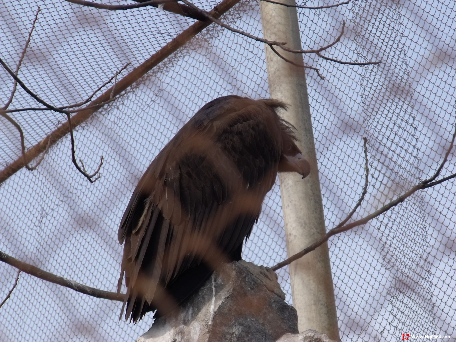 DSCF0369.jpg