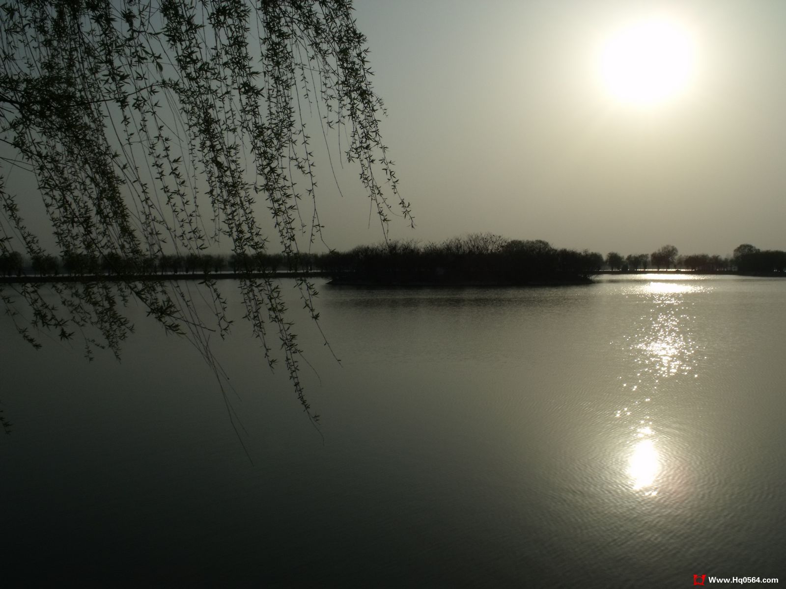 DSCF0406.jpg