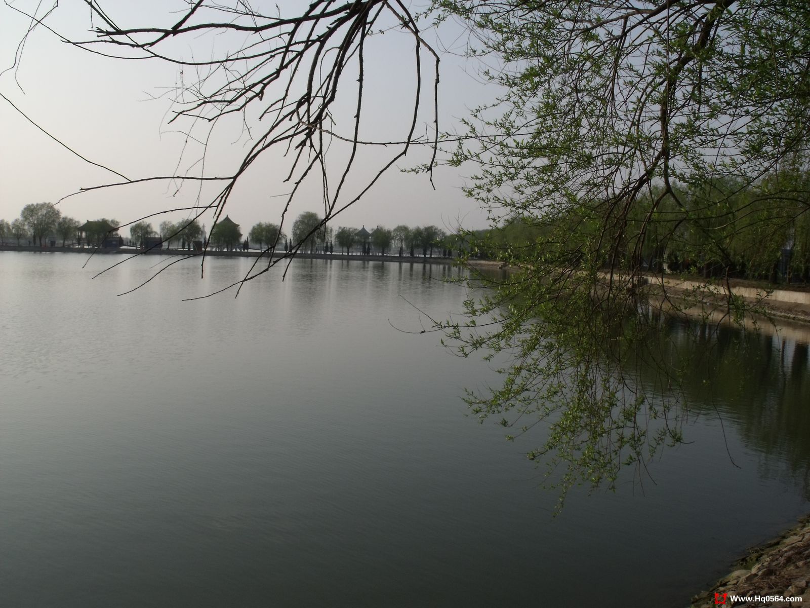 DSCF0407.jpg
