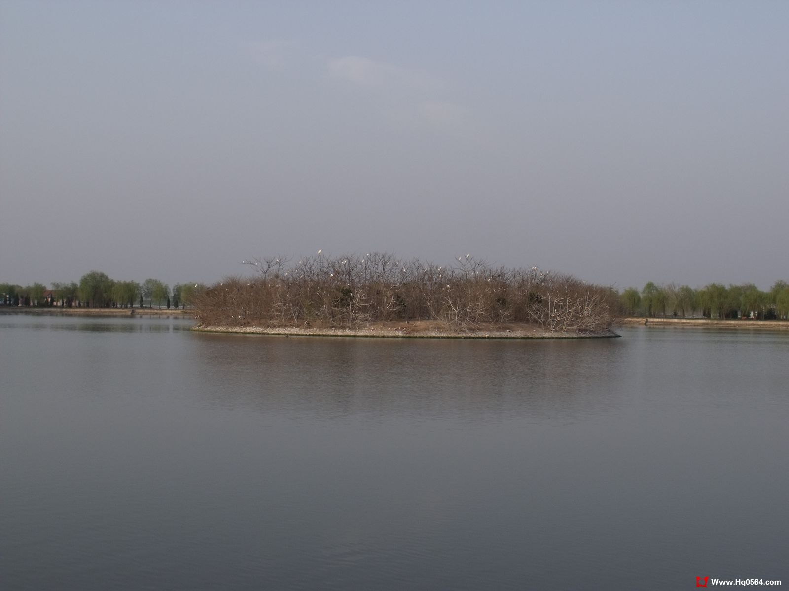 DSCF0411.jpg