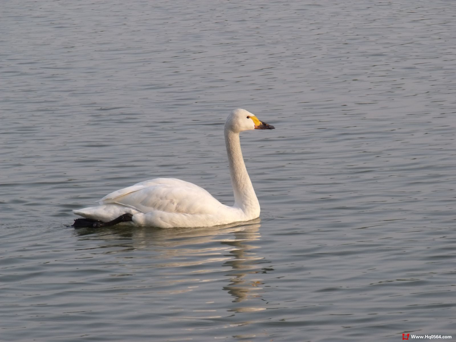DSCF0412.jpg