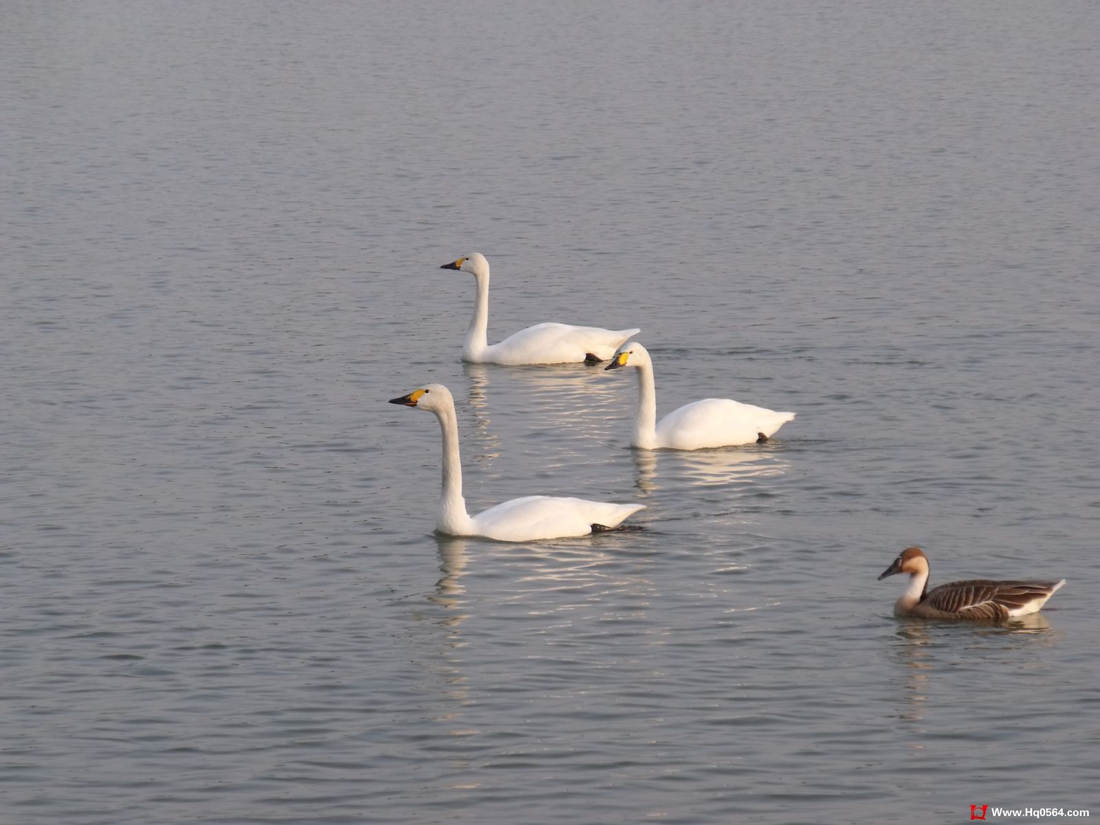 DSCF0413.jpg