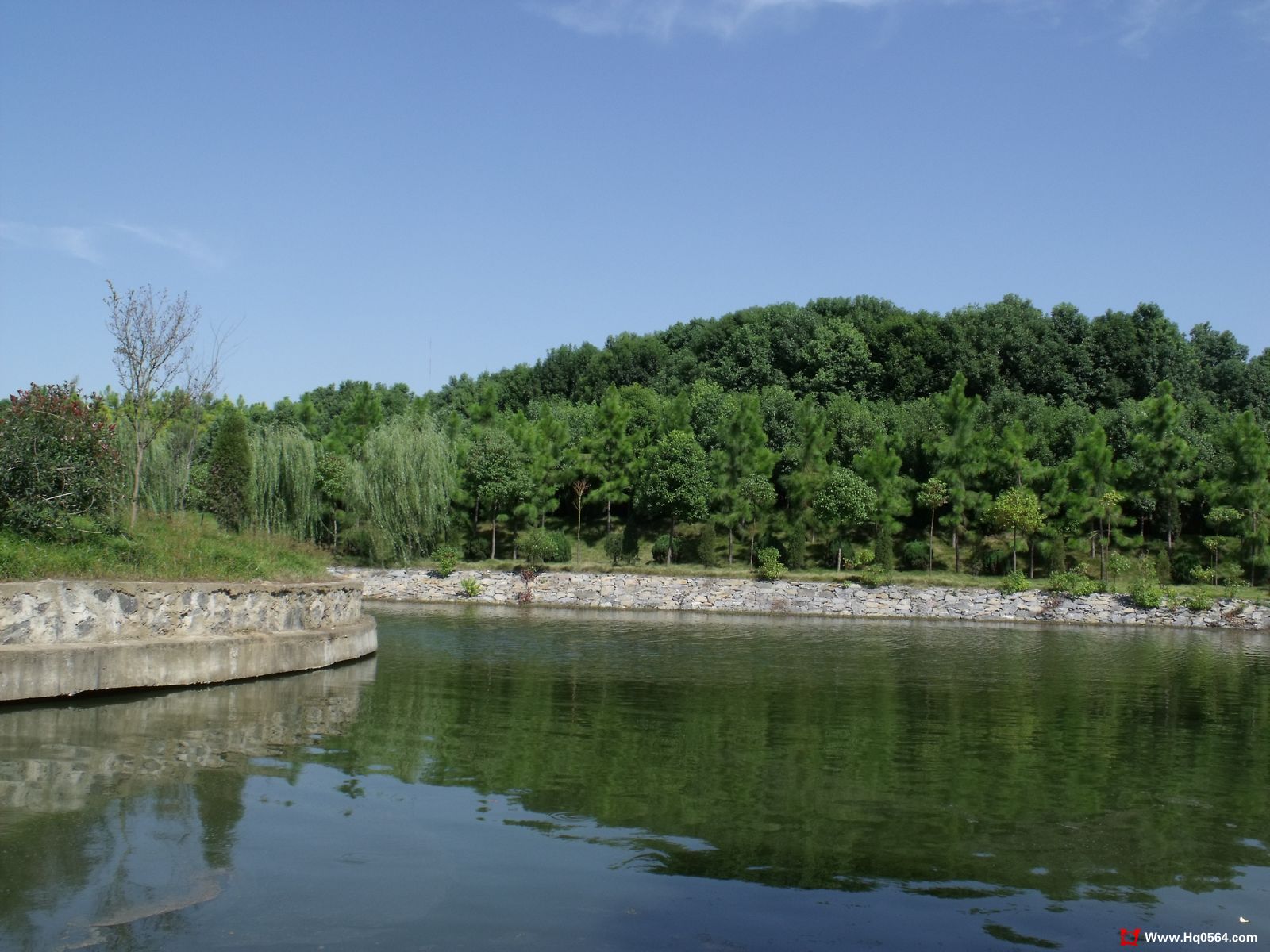 DSCF0830.jpg